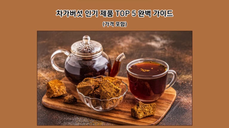 차가버섯 인기 제품 TOP 5 완벽 가이드 (가격 포함)