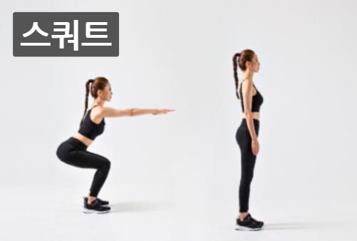스쿼트(Squat) – 대근육 강화의 기본