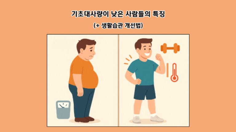 기초대사량이 낮은 사람들의 특징(+생활습관 개선법)