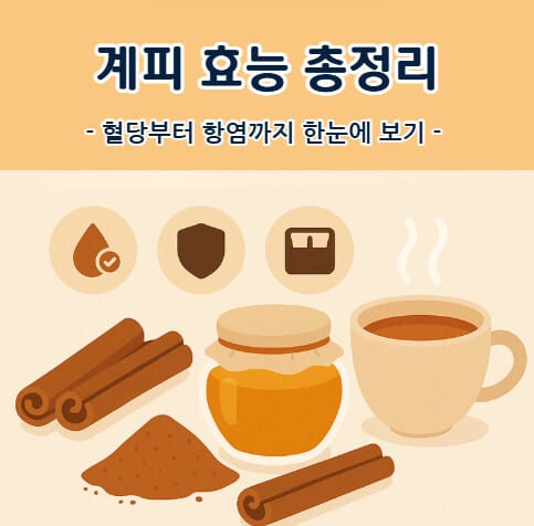 계피 효능 총정리
