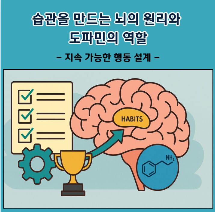 습관을 만드는 뇌의 원리와 도파민의 역할