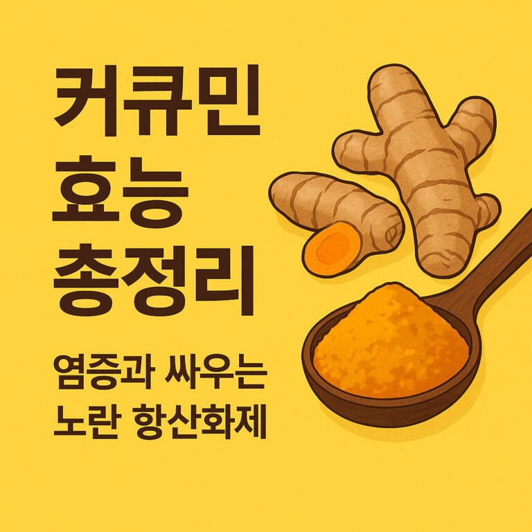 커큐민 효능 총정리